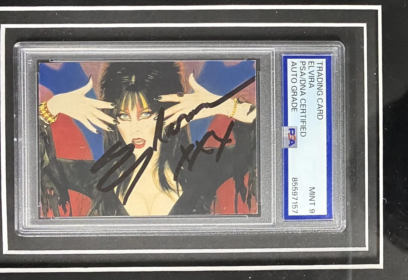 Vampira, Morticia Adams, Lily Munster & Elvira Signed Framed Display – PSA, изображение 4