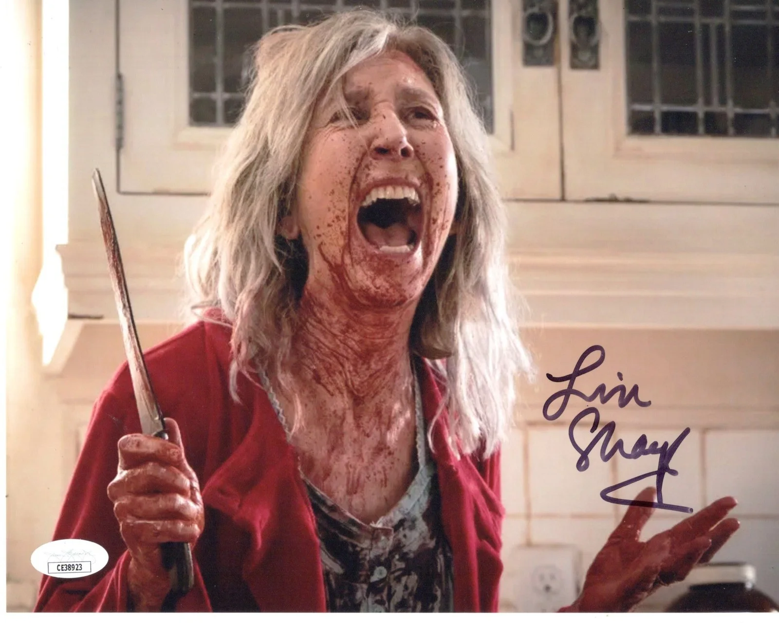 Lin Shaye — Lin Shaye signed 8x10 Photo Faith Matheson The Grudge JSA Authentication