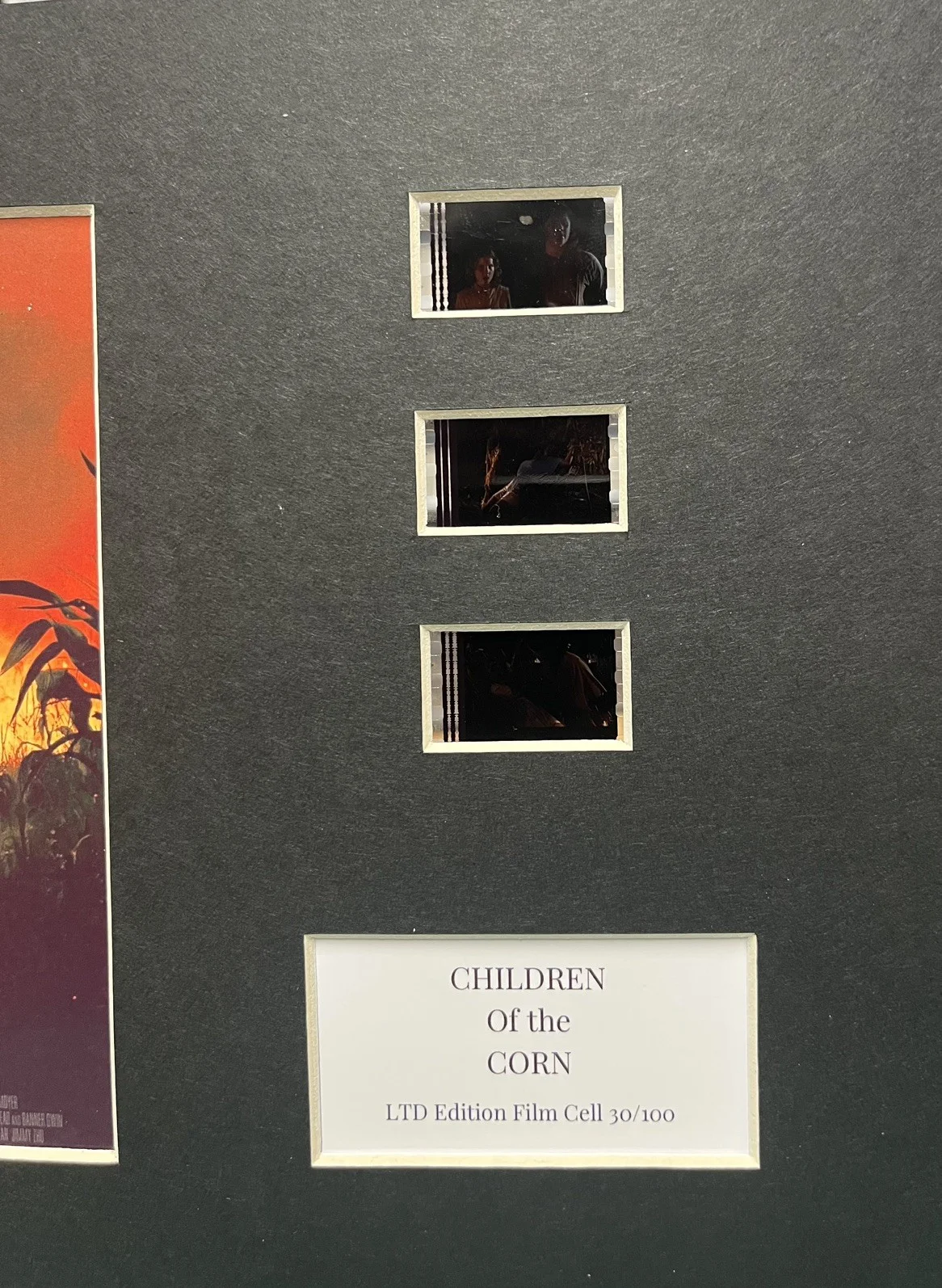 CHILDREN OF THE CORN . 35mm Film Cell Mounted Display, image 2
