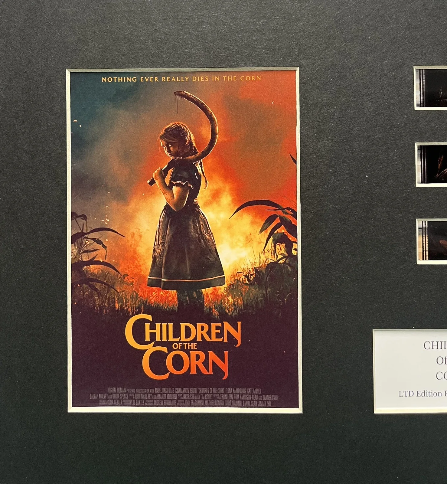 CHILDREN OF THE CORN . 35mm Film Cell Mounted Display, image 3