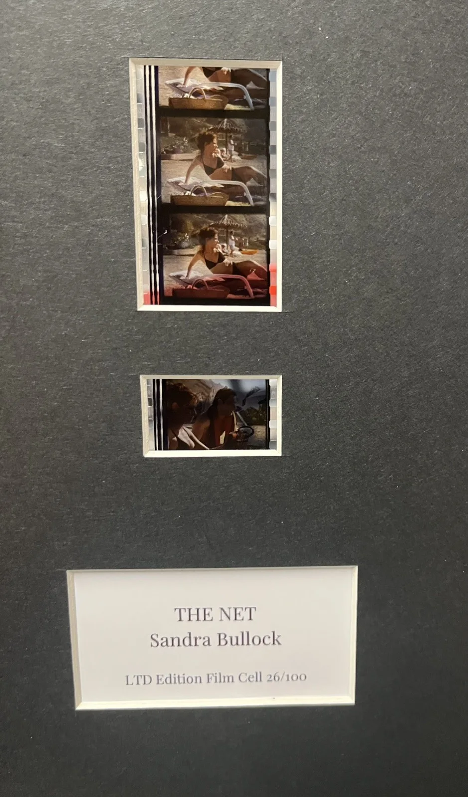 THE NET. Sandra Bullock. 35mm Film Cell Mounted Display, image 3