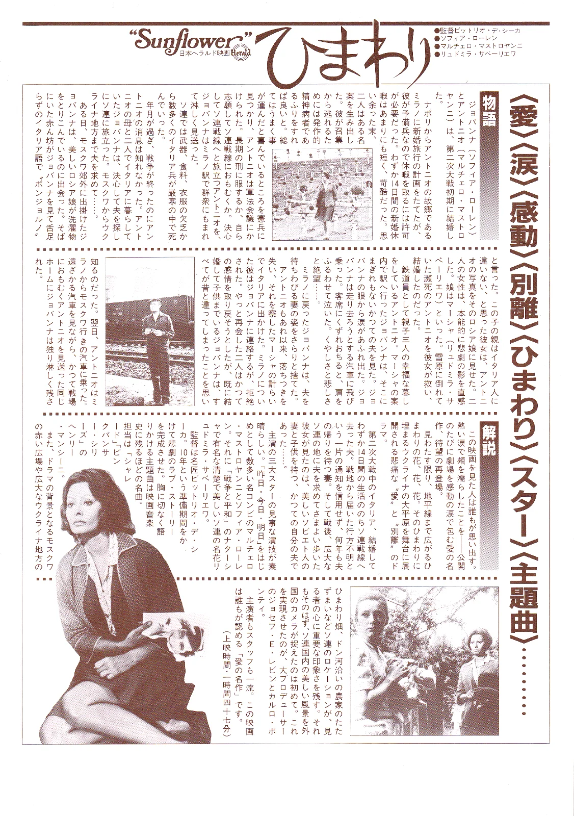 Sunflower - De Sica Original Japan Chirashi B5 Mini Poster/Flyer (1970s), изображение 2