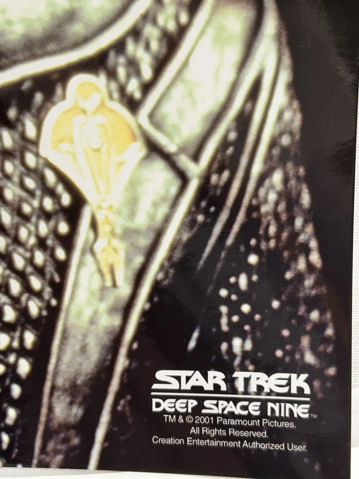 Casey Biggs — Star Trek Deep Space 9 Casey Biggs Signed 8x10 Photo Damar, Vulkon 2002 Show, изображение 3