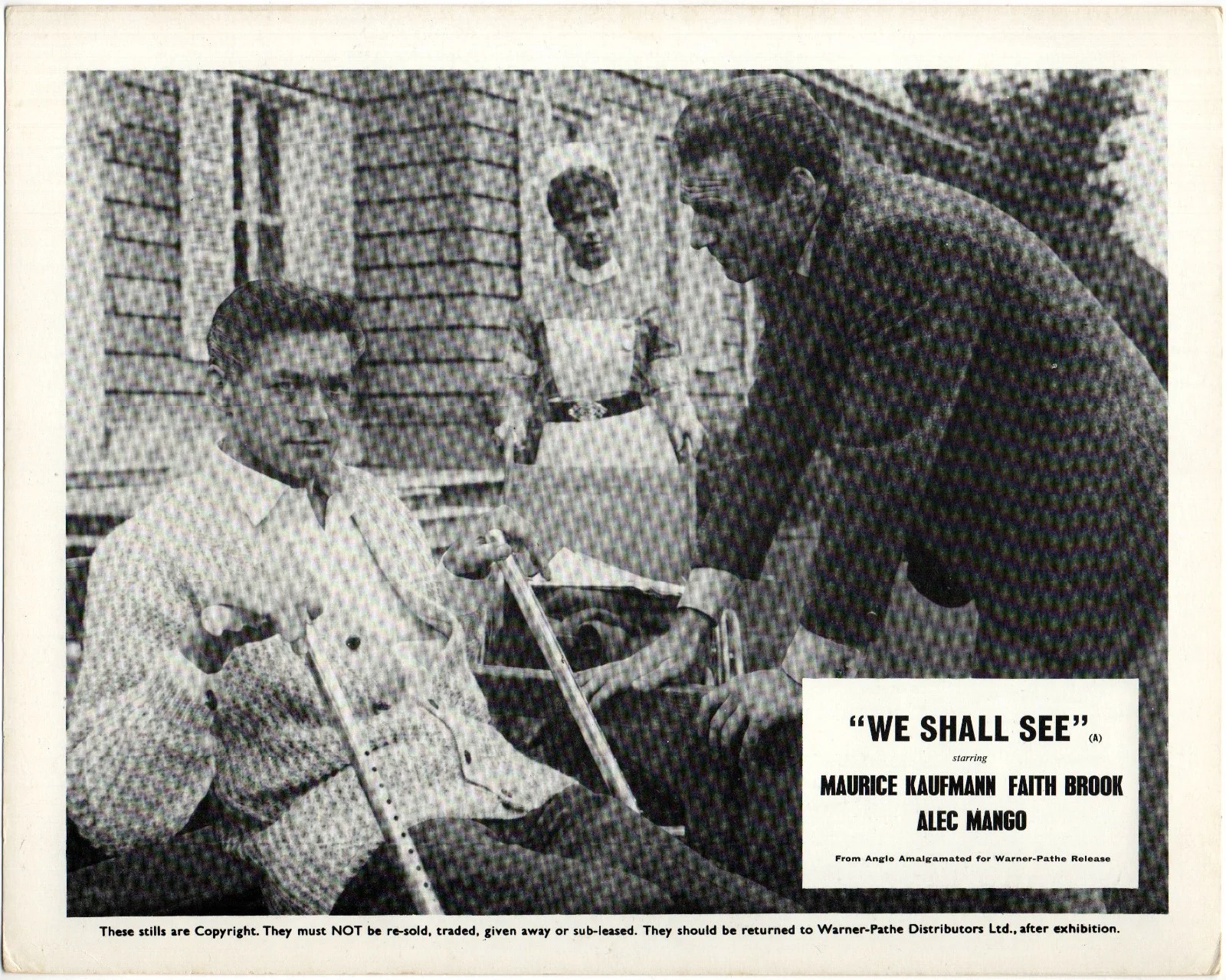 WE SHALL SEE 1964 Maurice Kaufmann, Faith Brook, Alec Mango 7 10x8 LOBBY CARDS, изображение 2