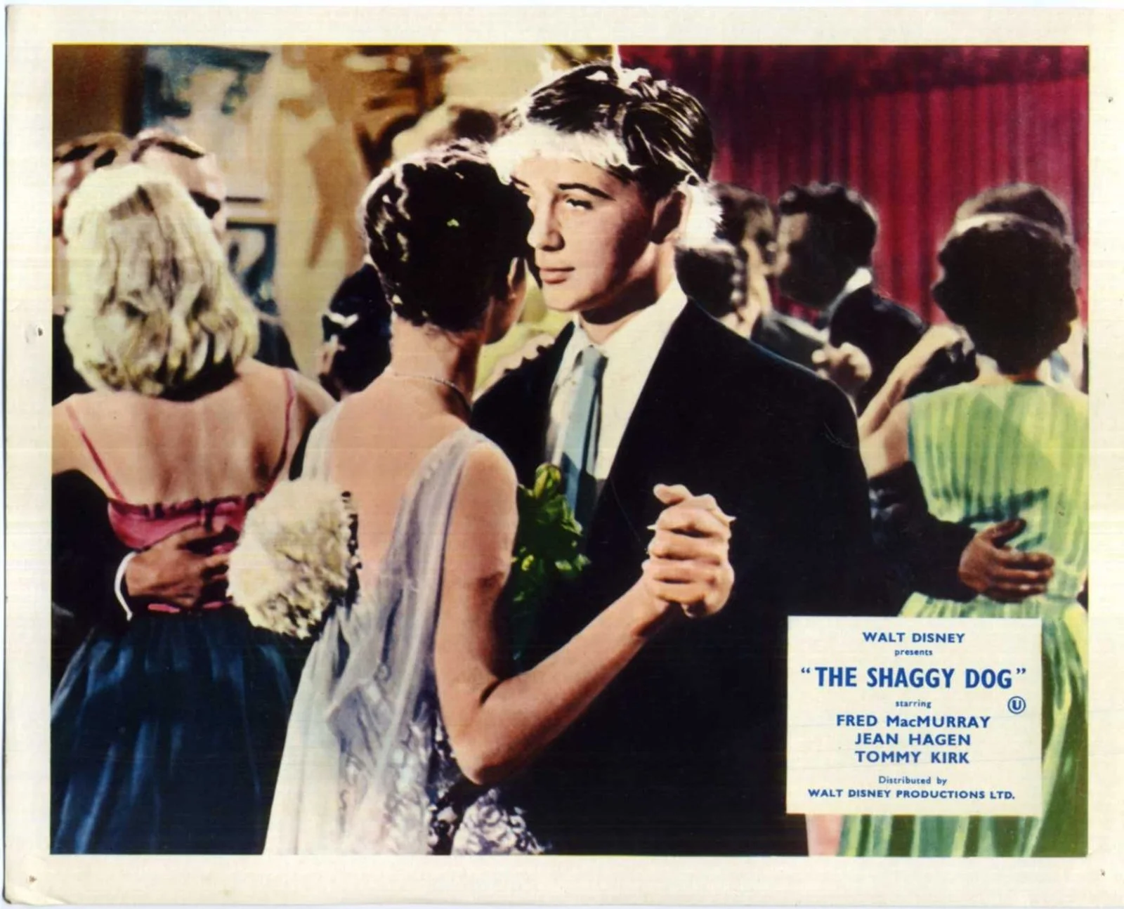 SHAGGY DOG 1959 Fred MacMurray, Jean Hagen, Tommy Kirk 10x8 LOBBY CARD SET, изображение 2