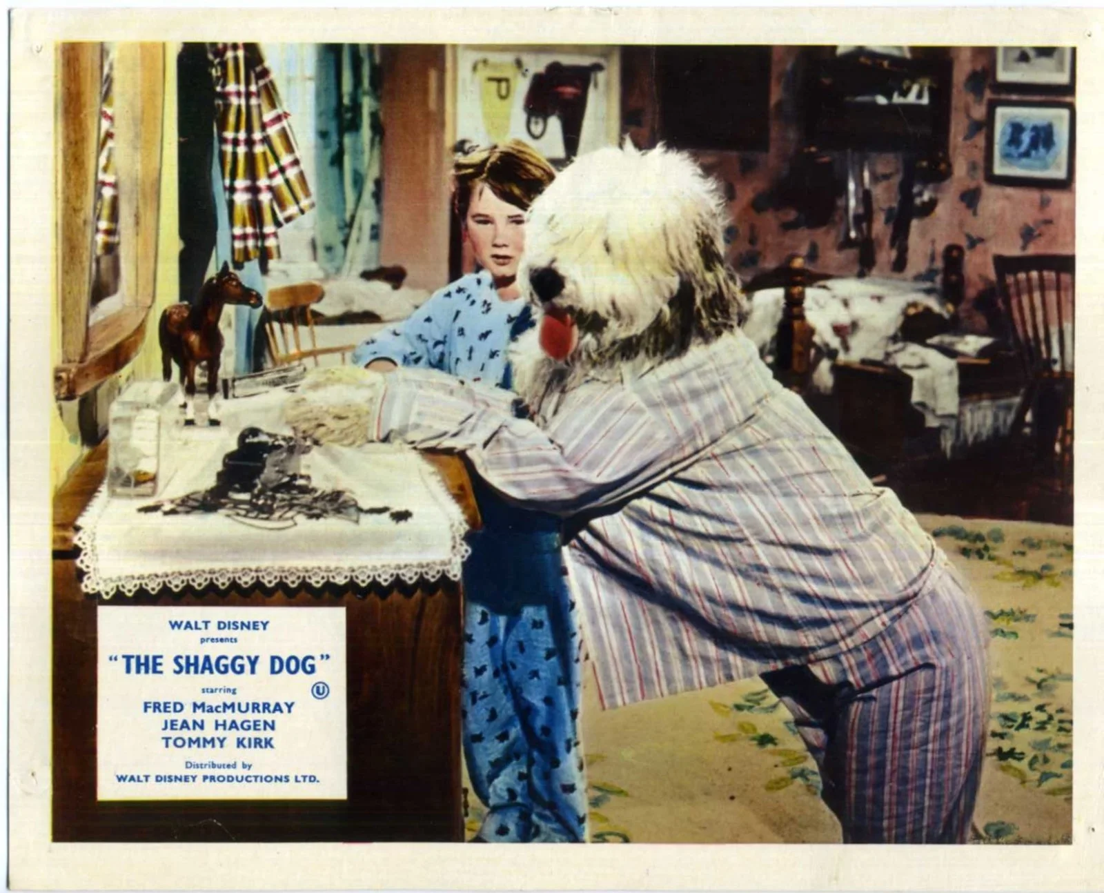 SHAGGY DOG 1959 Fred MacMurray, Jean Hagen, Tommy Kirk 10x8 LOBBY CARD SET, изображение 4