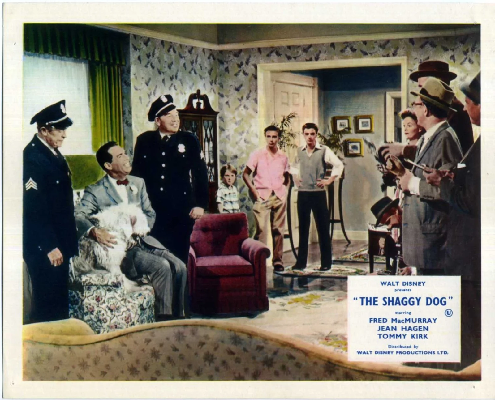 SHAGGY DOG 1959 Fred MacMurray, Jean Hagen, Tommy Kirk 10x8 LOBBY CARD SET, изображение 5