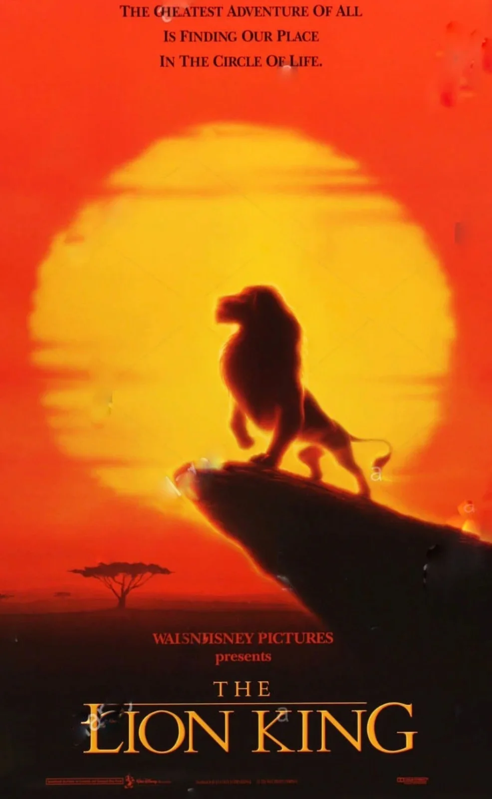 Walt Disney's The Lion King 1994 Rare Unmounted 35mm Film Cells (Fullscreen), изображение 2
