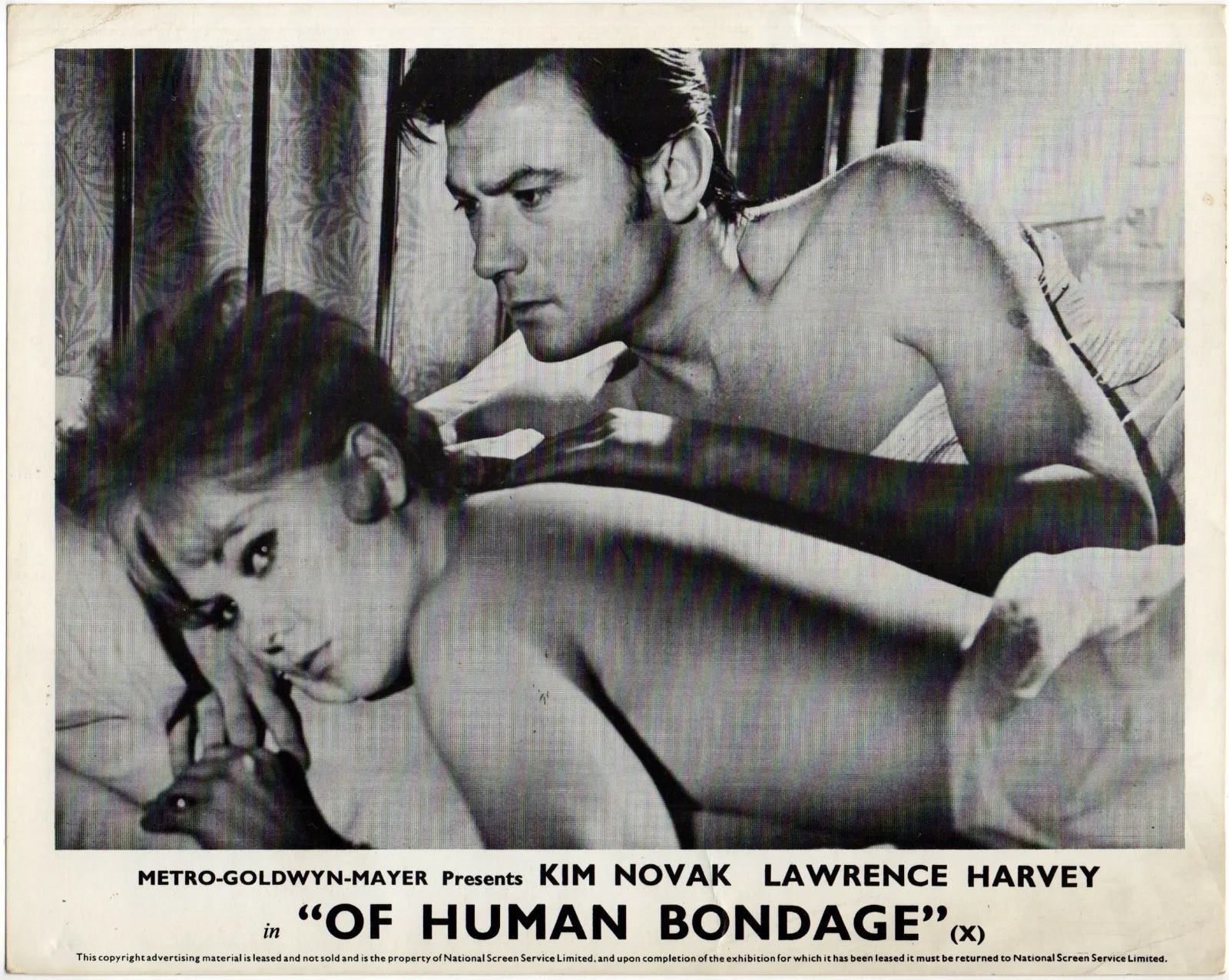 OF HUMAN BONDAGE 1964 Kim Novak, Laurence Harvey, Jack Hedley 4 10x8 LOBBY CARDS, изображение 2