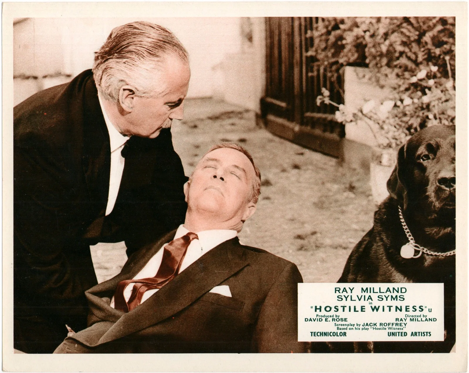 HOSTILE WITNESS 1968 Ray Milland, Sylvia Syms, Felix Aylmer 6 10x8 LOBBY CARDS, изображение 2