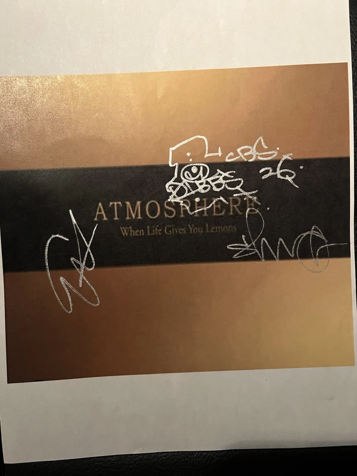 Framed Signed Atmosphere When Life Gives You Lemons Album Cover Print Slug Ant, изображение 2