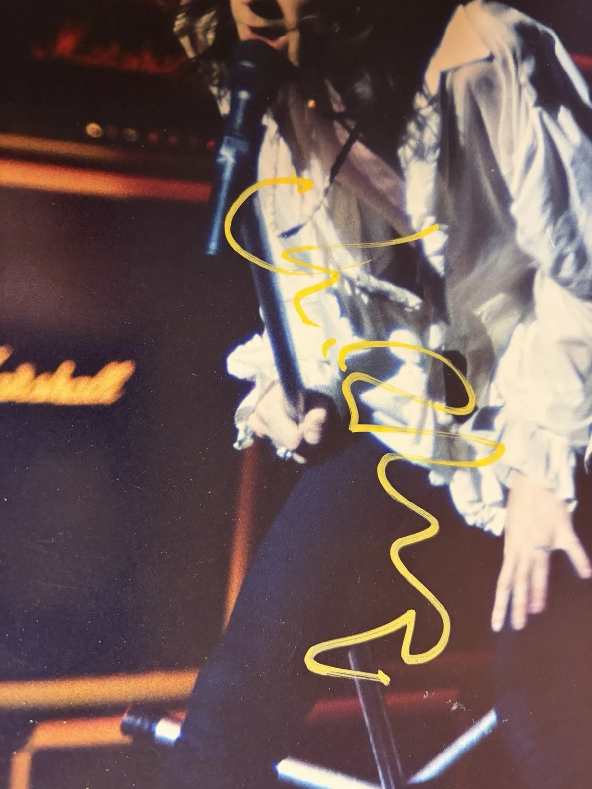 CHRIS ROBINSON SIGNED 8X11 PHOTO AUTOGRAPH THE BLACK CROWES, image 2
