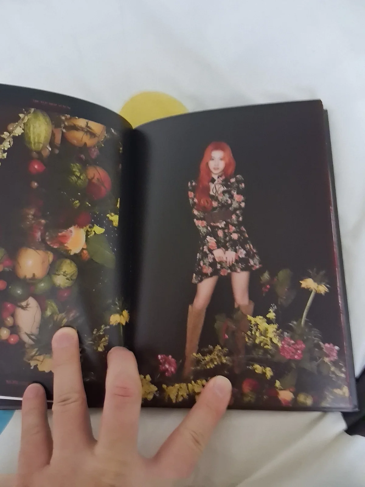 TWICE More & More 9th Mini Album Official CD - Rare Chaeyoung Plate Version K-PO, image 4