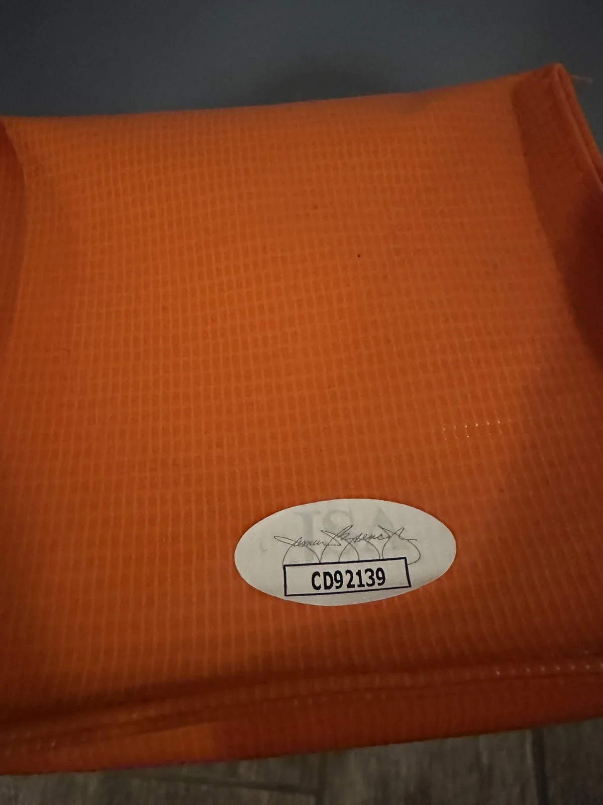 JAMES VAN DER BEEK SIGNED WEST CANAAN COYOTES PYLON VARSITY BLUES MOX JSA COA #4, изображение 2