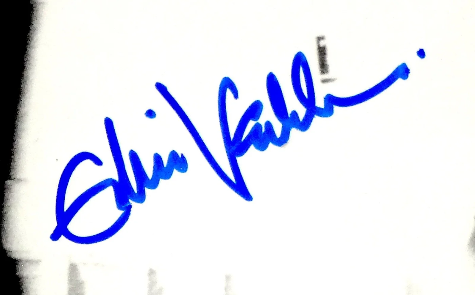 EDDIE VEDDER PEARL JAM HAND SIGNED AUTOGRAPHED MOORE THEATER 16X20 PHOTO W/PROOF, изображение 2
