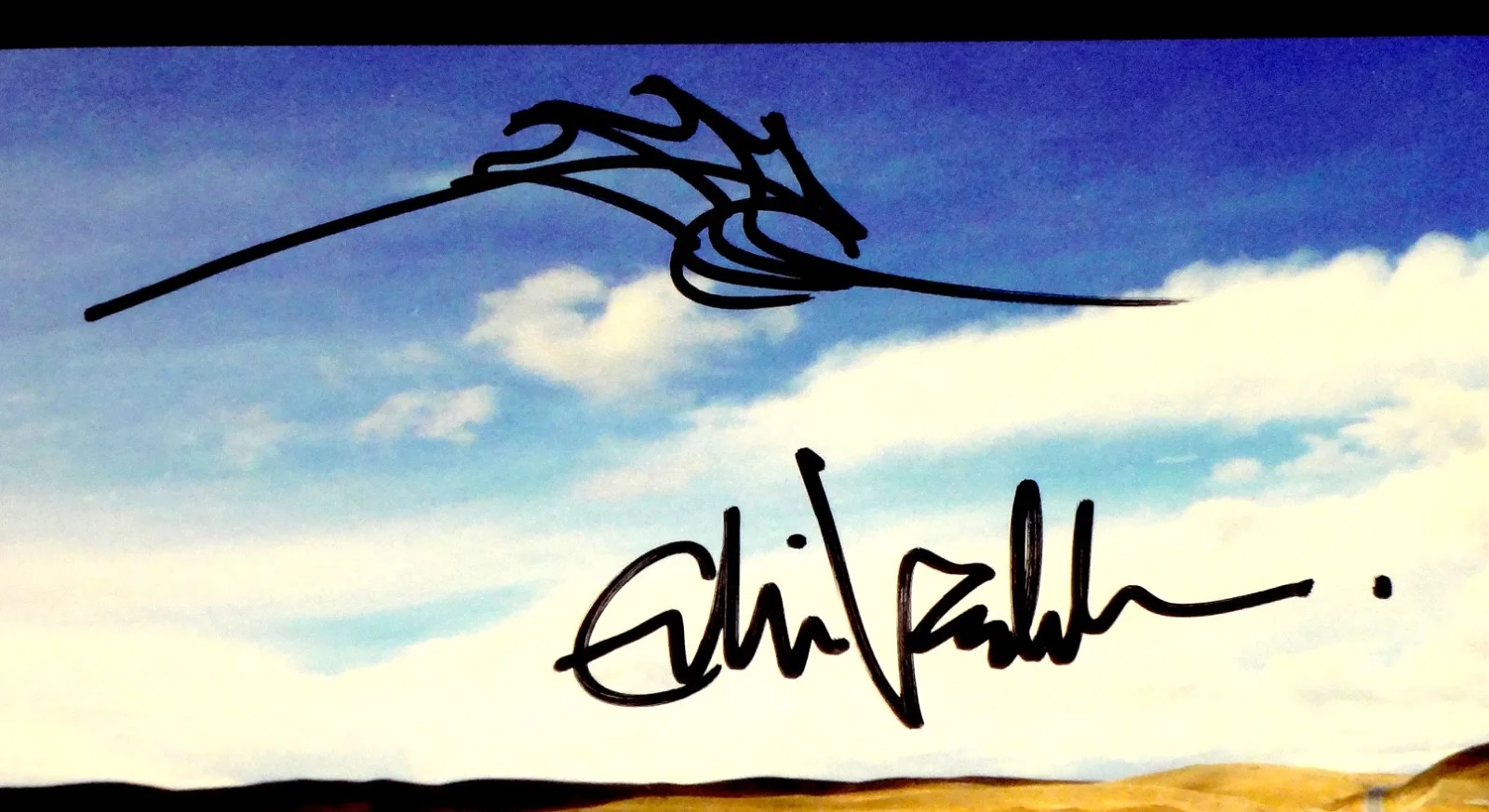PEARL JAM EDDIE VEDDER HAND SIGNED AUTOGRAPHED YIELD VINYL ALBUM W/PROOF +C.O.A., image 2