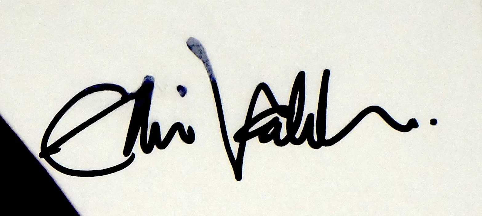 PEARL JAM EDDIE VEDDER HAND SIGNED AUTOGRAPHED VS. VINYL ALBUM! W/ PROOF +C.O.A., изображение 2