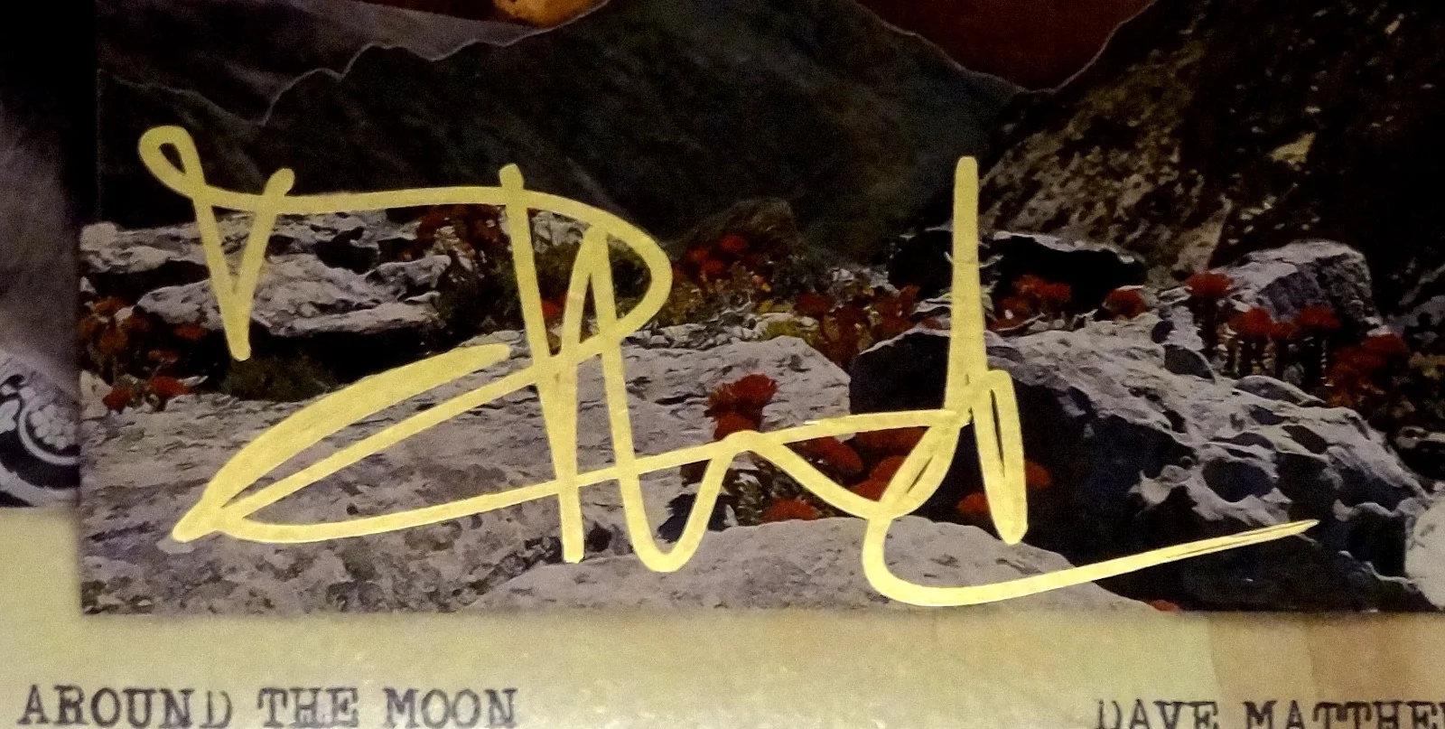 DAVE MATTHEWS DMB HAND SIGNED AUTOGRAPHED WALK AROUND THE MOON ALBUM! PROOF +COA, изображение 2