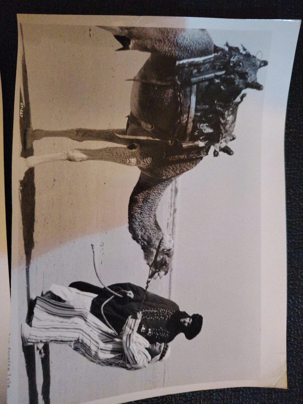 Original ISHTAR 1987 Press Photos Dustin Hoffman Columbia Pictures Stills x2, image 3
