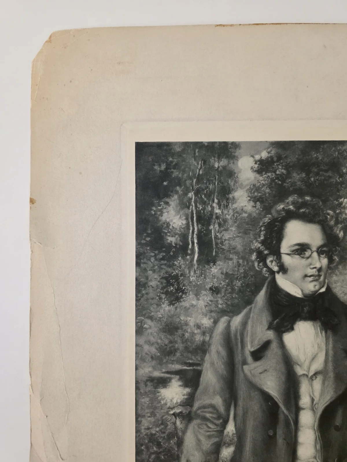 Franz SCHUBERT (Composer) Photogravure by Dietze 19th C Art Print Engraving, изображение 4
