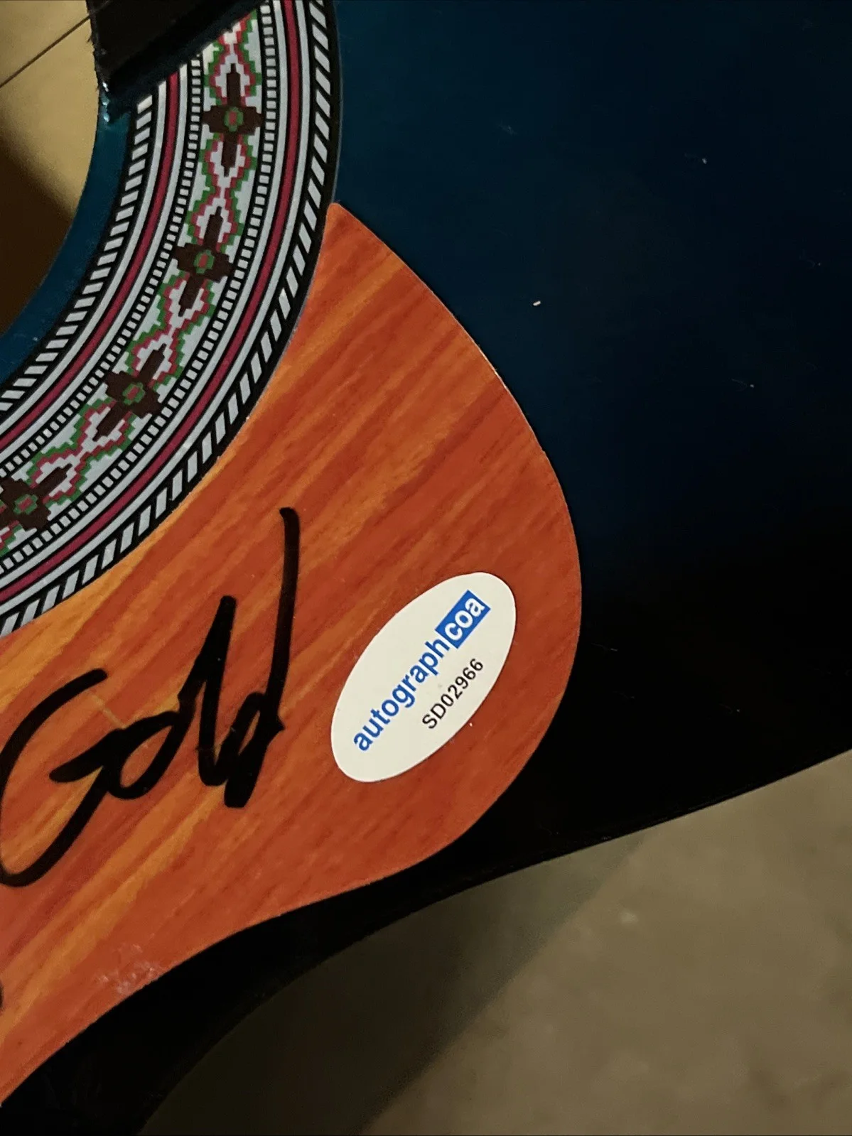 COUNTRY MUSIC DUO TIGIRLILY GOLD SIGNED AUTO GUITAR ACOA COA KENDRA KRISTA, изображение 4