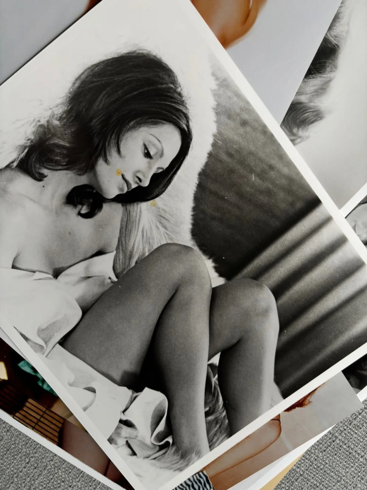 TEN glossy photos- Sexy Starlets. Julie Christie, Milla Jovovich, Janet Leigh,, изображение 3