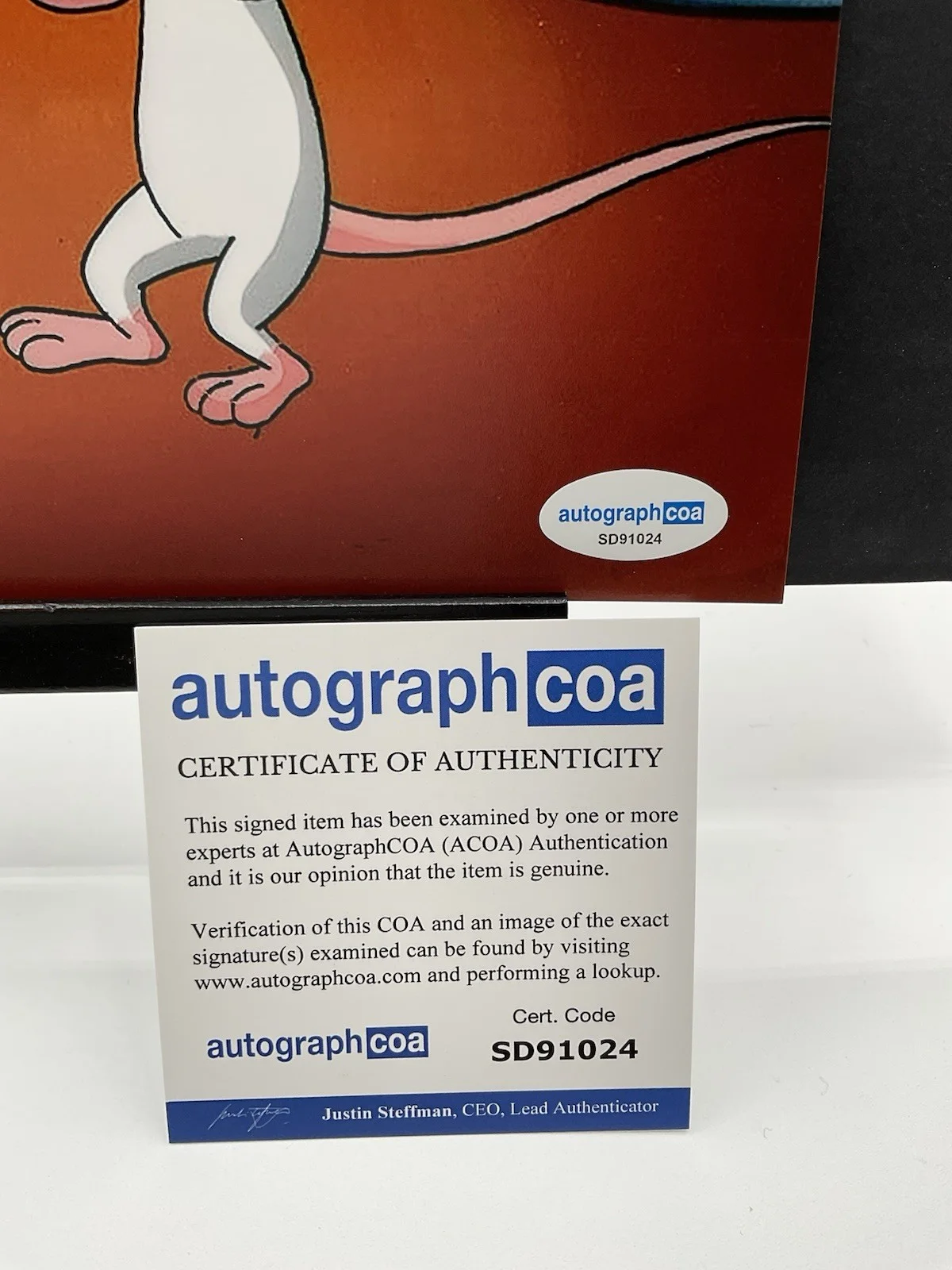 Maurice LaMarche — Maurice LaMarche signed 8x10 Pinky and the Brain signed 8x10 ACOA photo SALE, изображение 3