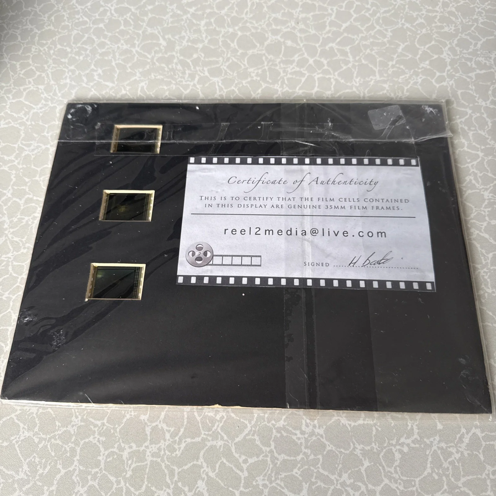 Disney Lady And The Tramp Set Of Three Original Film Cells On 10”x8” Mount. New., изображение 5
