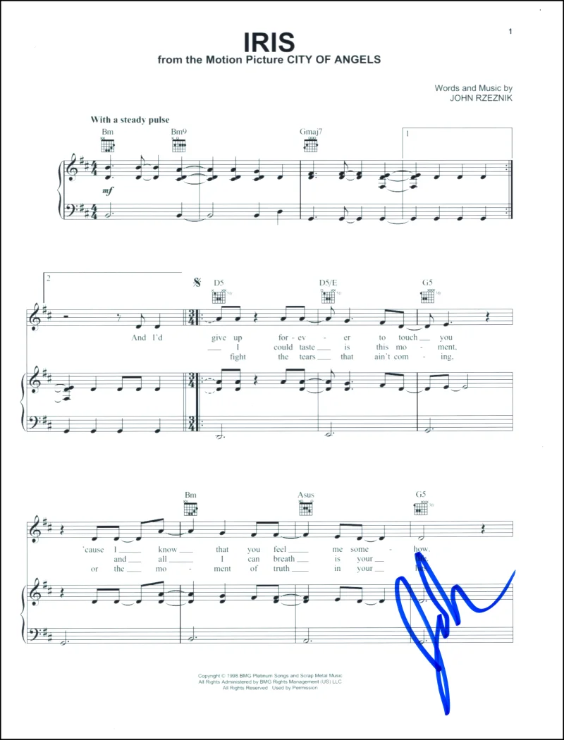 John Rzeznik — John Rzeznik Goo Goo Dolls Signed Autograph Iris Sheet Music - City of Angels