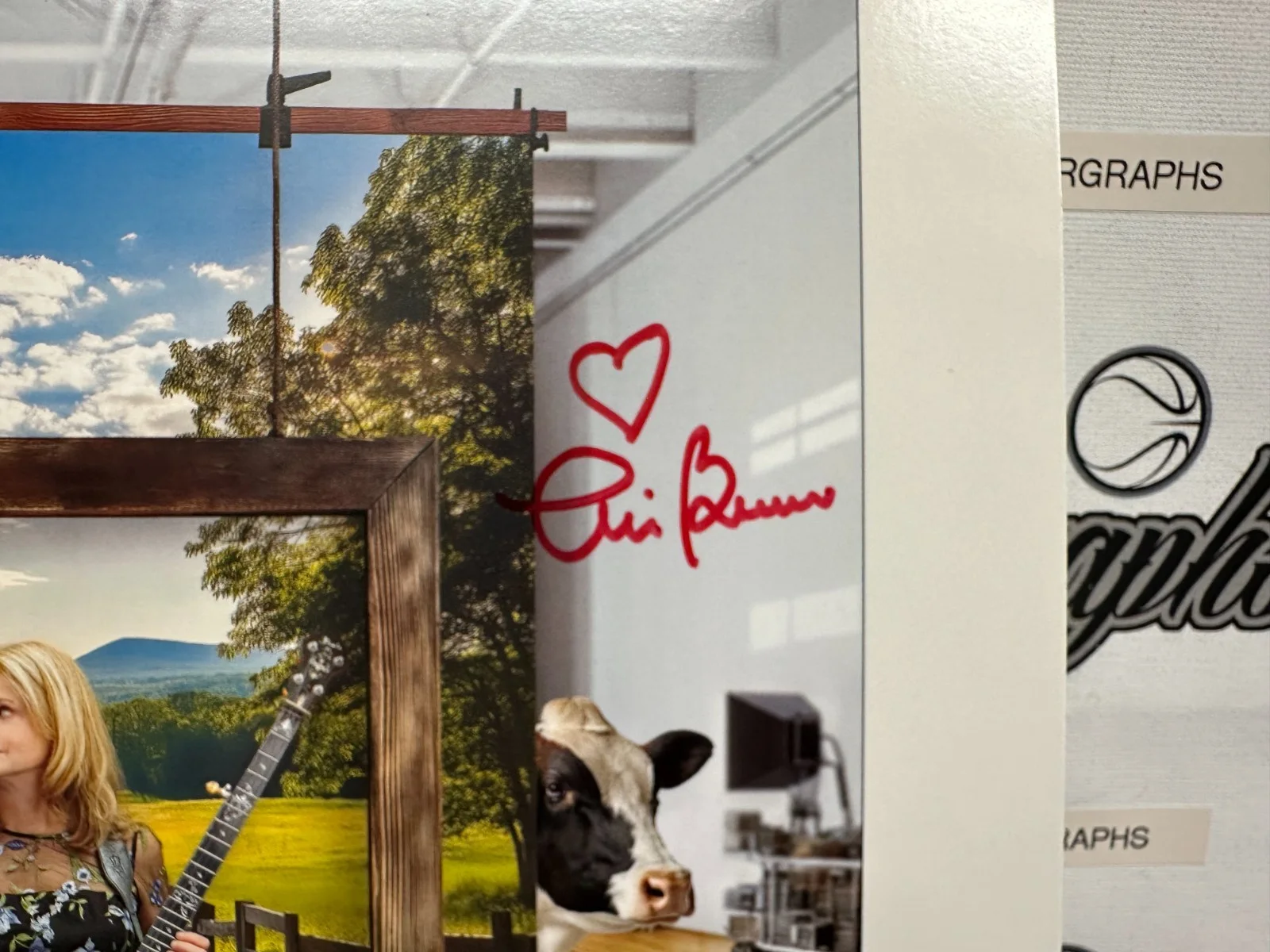 STEVE MARTIN ALISON BROWN SIGNED AUTOGRAPHED VINYL RECORD-BAS BECKETT COA, image 4
