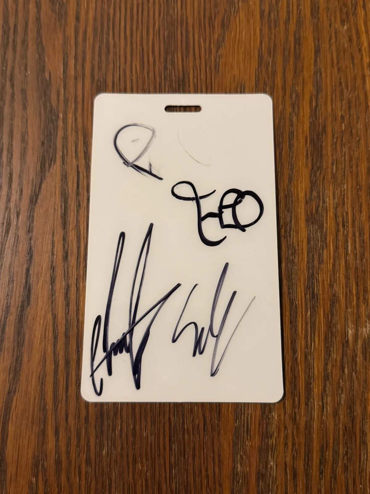 Simple Plan Autographed VIP Laminated Pass 20th Anniversary Tour Signed, image 2