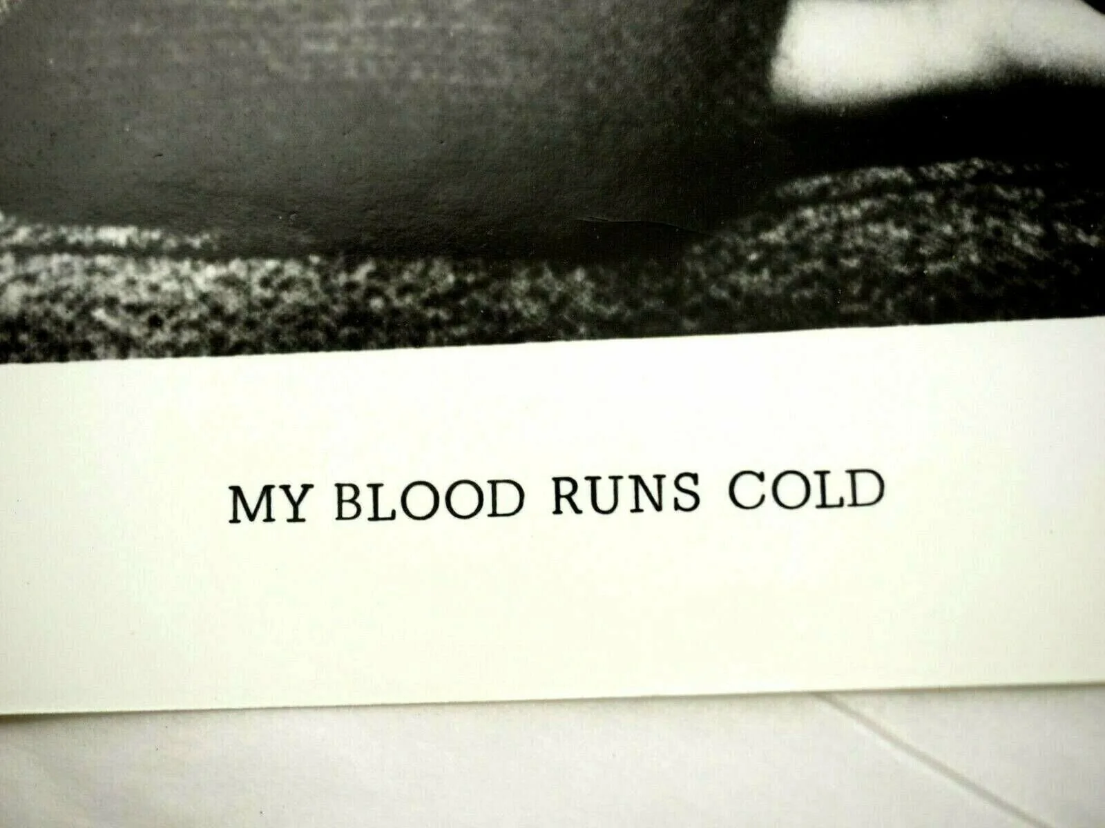 My Blood Runs Cold Troy Donahue Joey Heathert Warner Bros Promo Lobby Photo 1965, изображение 3