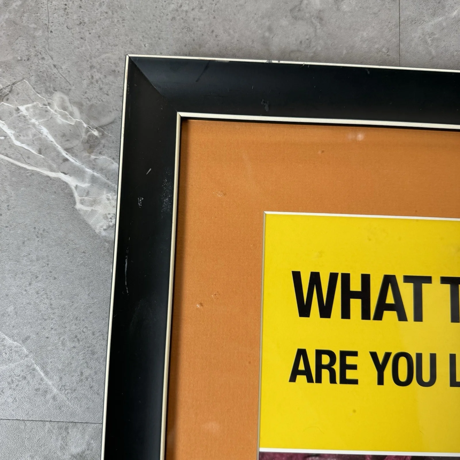 What The Fuzz Are You Looking At Cast Signed Broadway Window Card Poster 14"x22", изображение 4