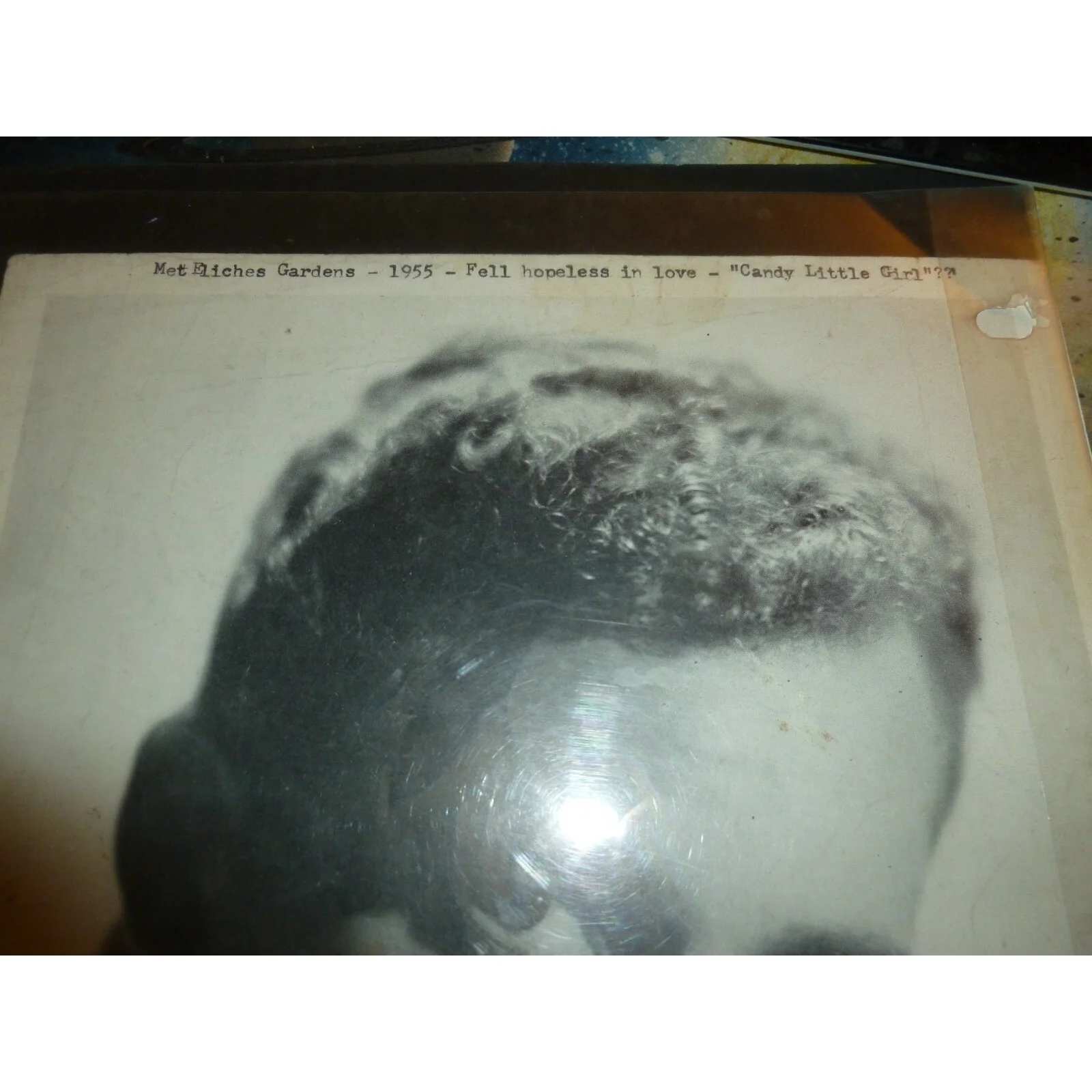 Jerry Mercer Signed Photo 1955 David Carroll Orchestra Mercury Records Vintage, image 3