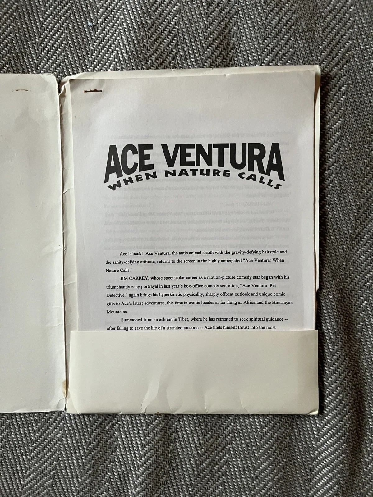 Ace Ventura: When Nature Calls ~ Original Press Kit/Warner Bros Press Jim Carrey, изображение 5