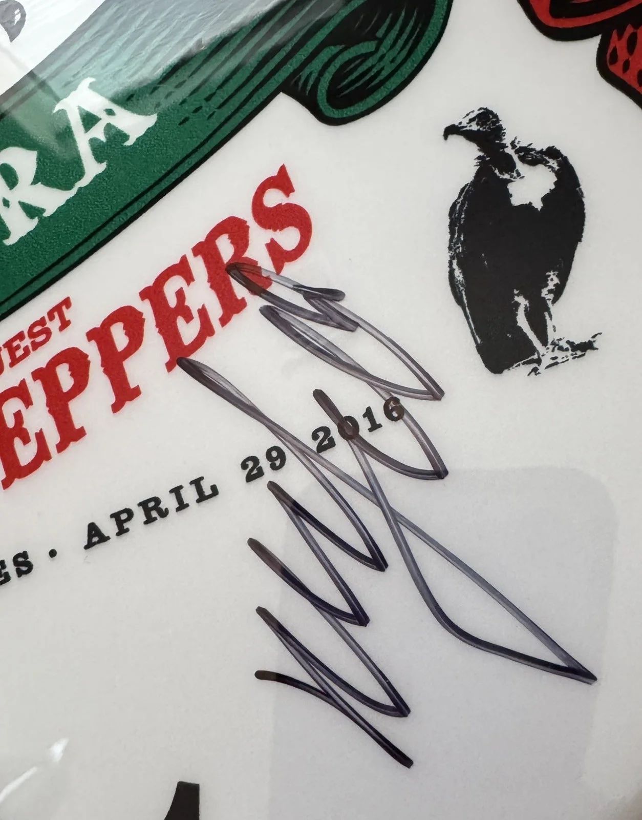 Will Ferrell & Chad Smith Signed Drumhead Red Hot Benefit *RARE* RHCP, image 2