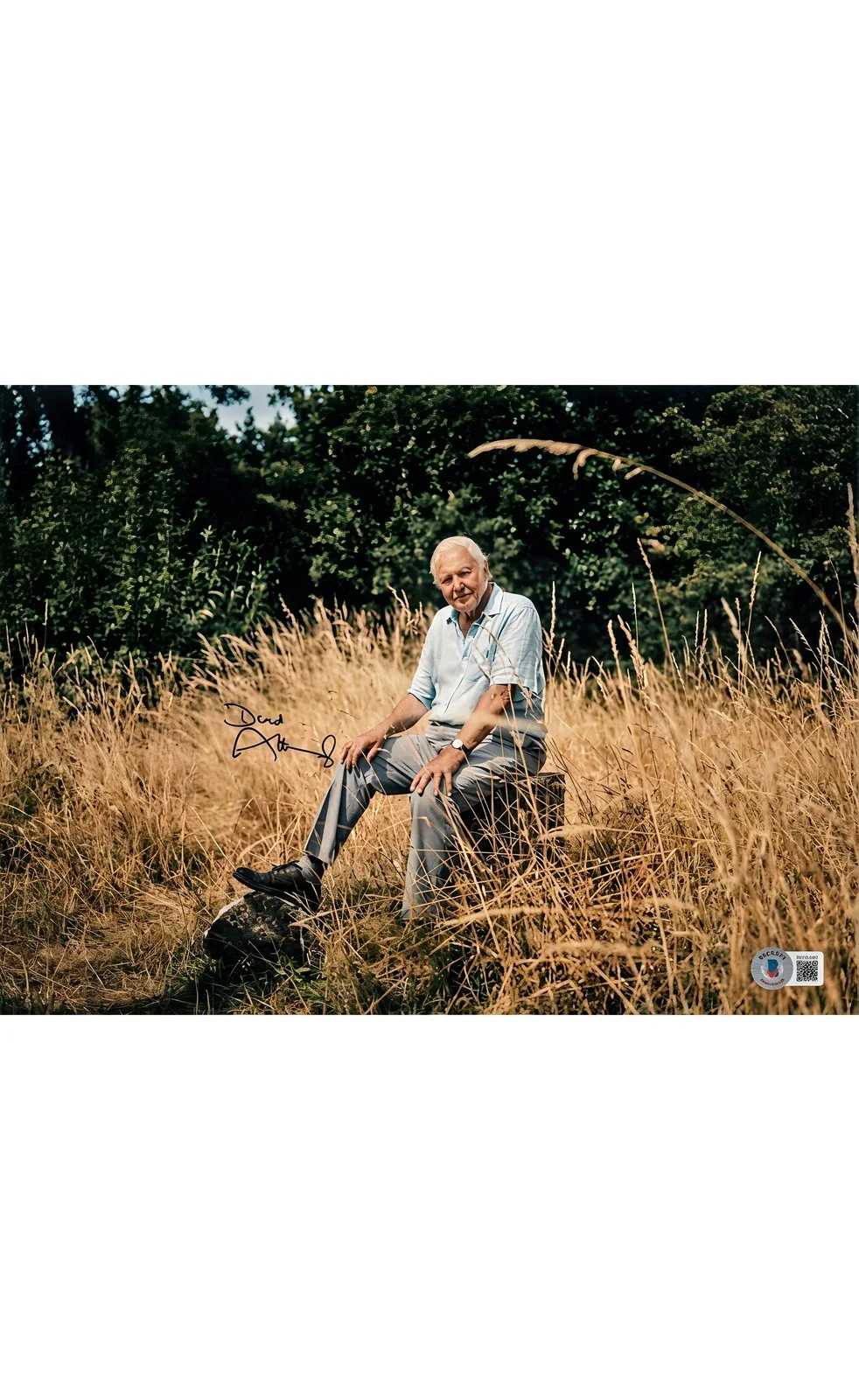 David Attenborough — David Attenborough Autographed 8x10 Photo with Beckett Certification Authentic