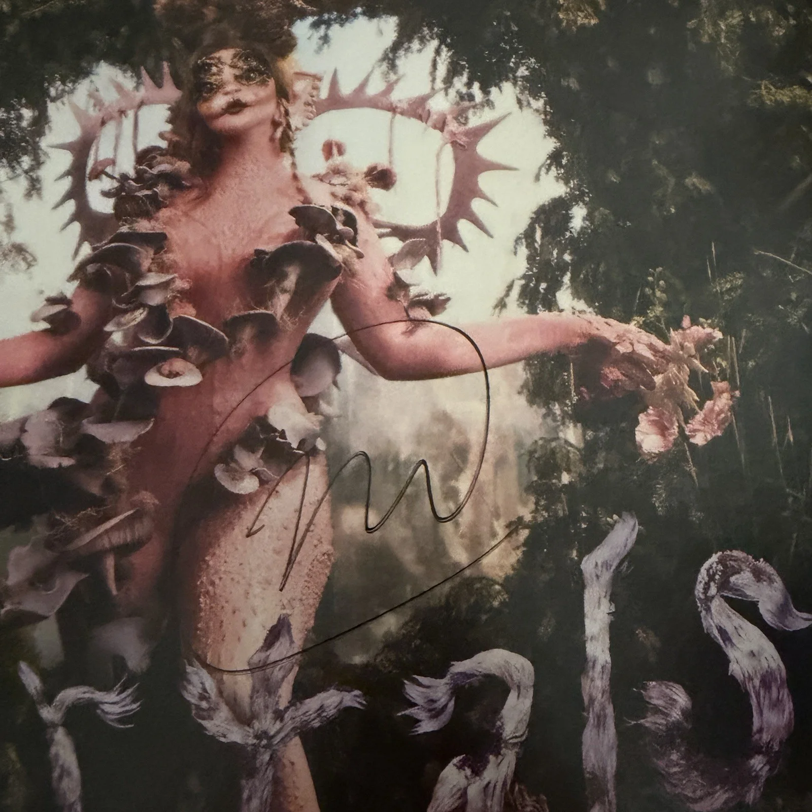 Melanie Martinez Portals Vinyl SIGNED, image 2
