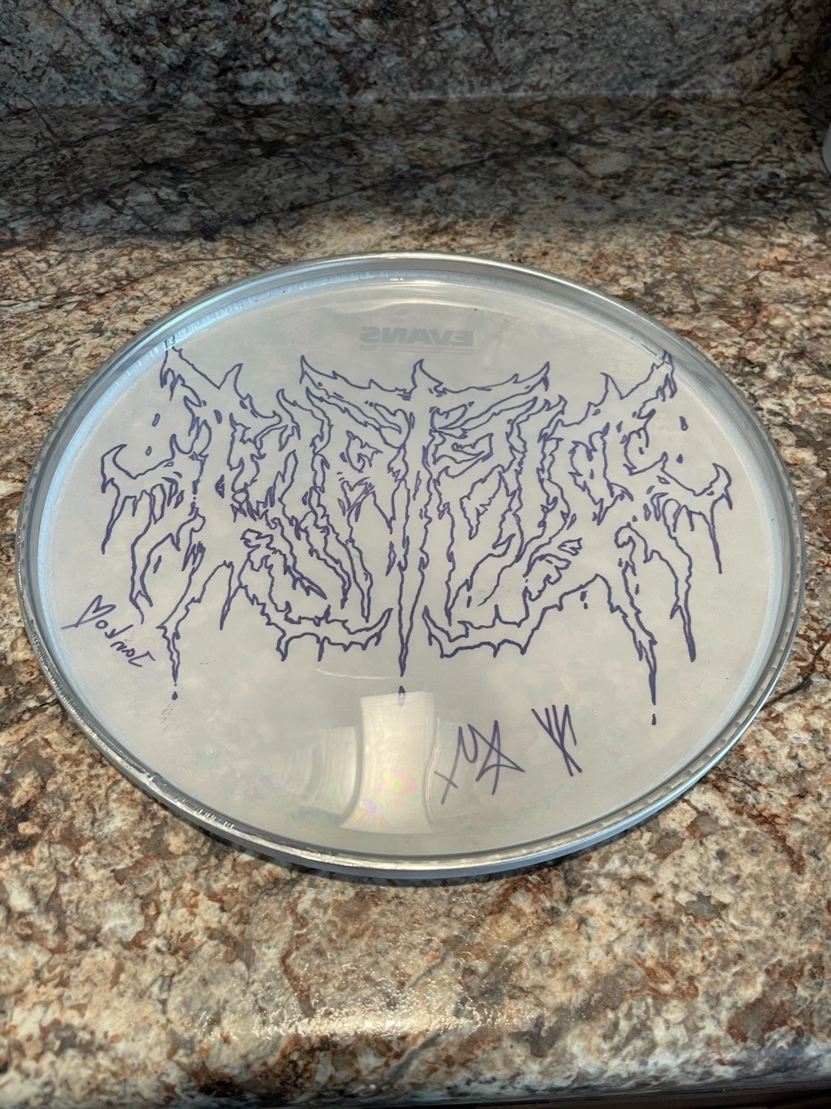 Signed DISTANT Drumhead Drawn And Signed By Dummer Rene Gerbrandij, image 2