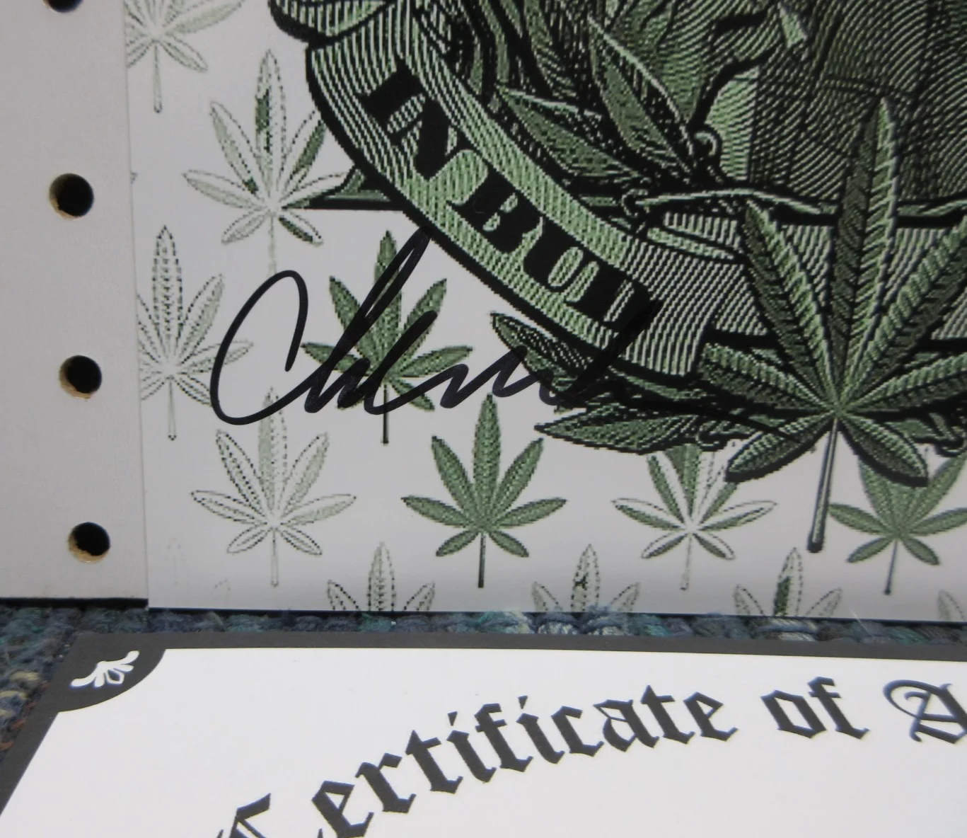 CHEECH, CHONG — CHEECH AND CHONG IN BUD WE TRUST SIGNED 8"X10" PHOTO AUTOGRAPHED W COA, изображение 2