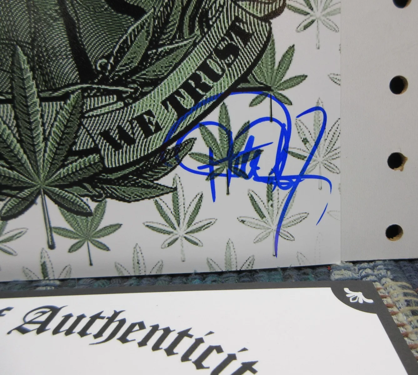 CHEECH, CHONG — CHEECH AND CHONG IN BUD WE TRUST SIGNED 8"X10" PHOTO AUTOGRAPHED W COA, изображение 3