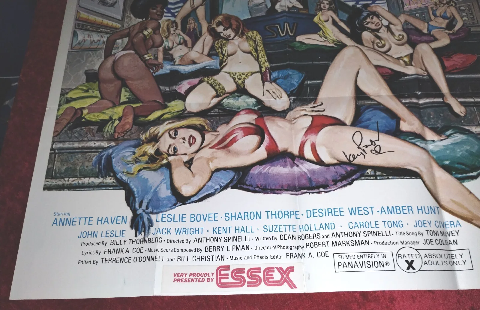 Kay Parker — Kay Parker Autographed SEX WORLD Movie Poster w/ JSA COA, изображение 5
