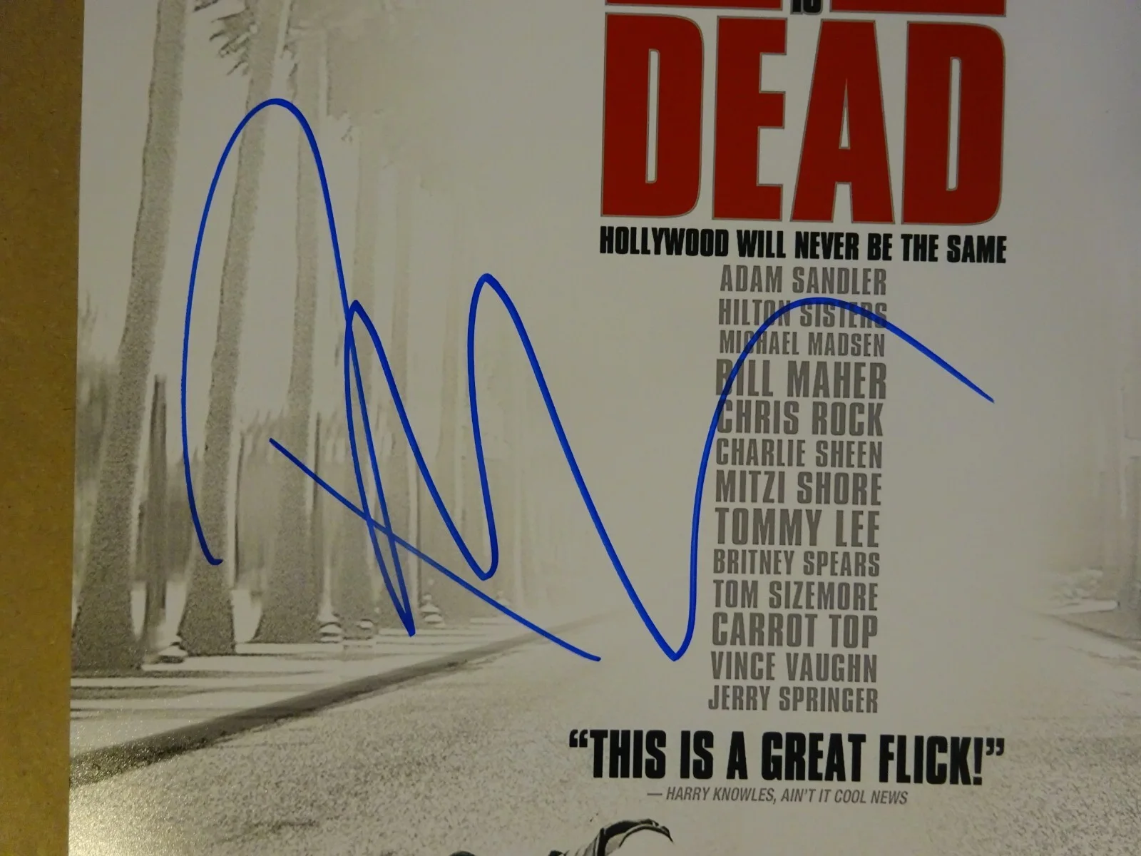 Pauly Shore — Signed Pauly Shore Is Dead Autographed 11"x17" Photo Beckett BAS COA, изображение 4