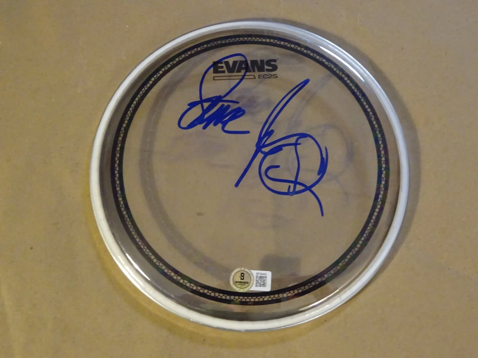 Signed Steve Jordan Rolling Stones Autographed 8" Clear Drum Hea Beckett BAS COA, image 2