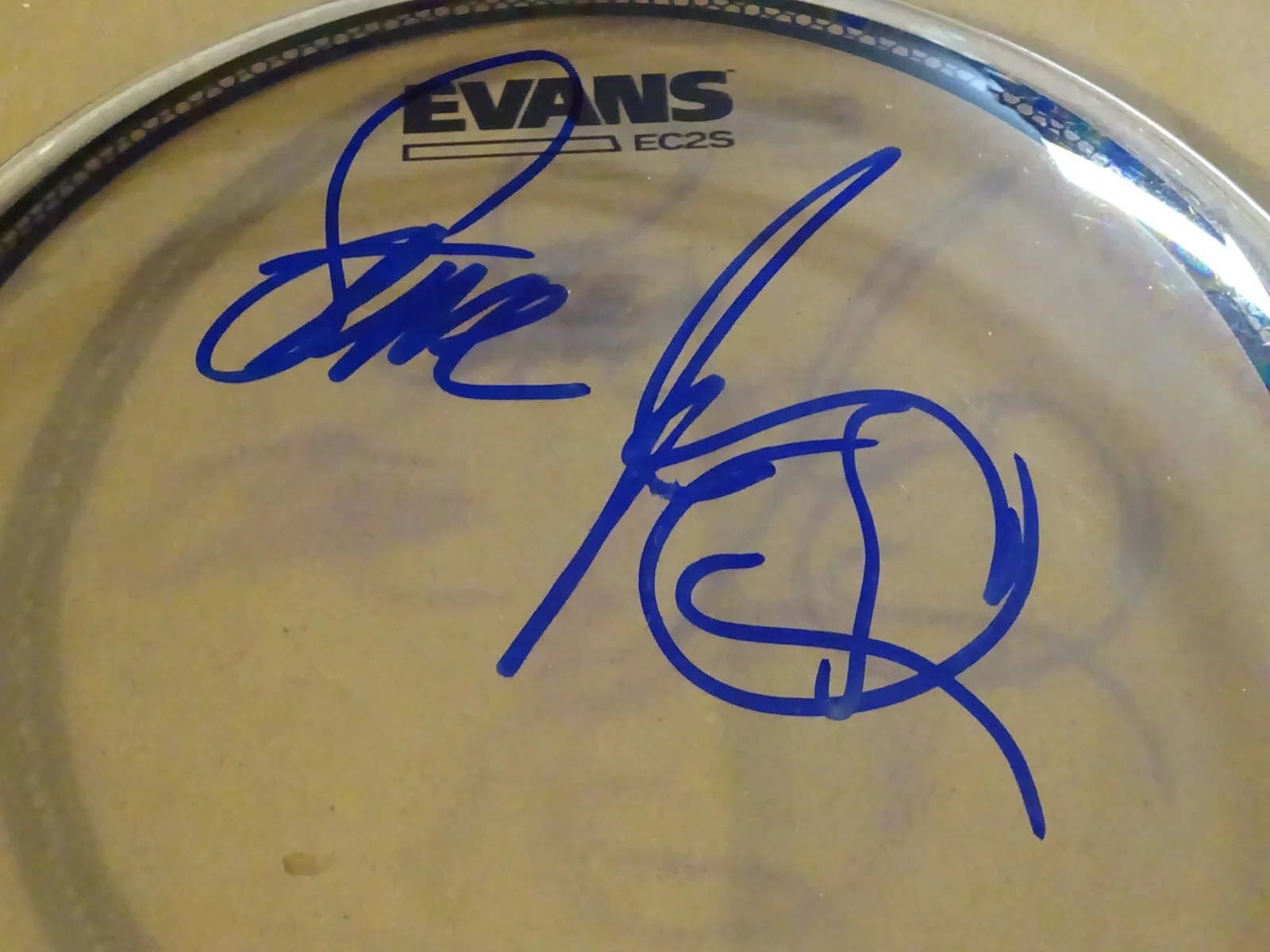 Signed Steve Jordan Rolling Stones Autographed 8" Clear Drum Hea Beckett BAS COA, image 3