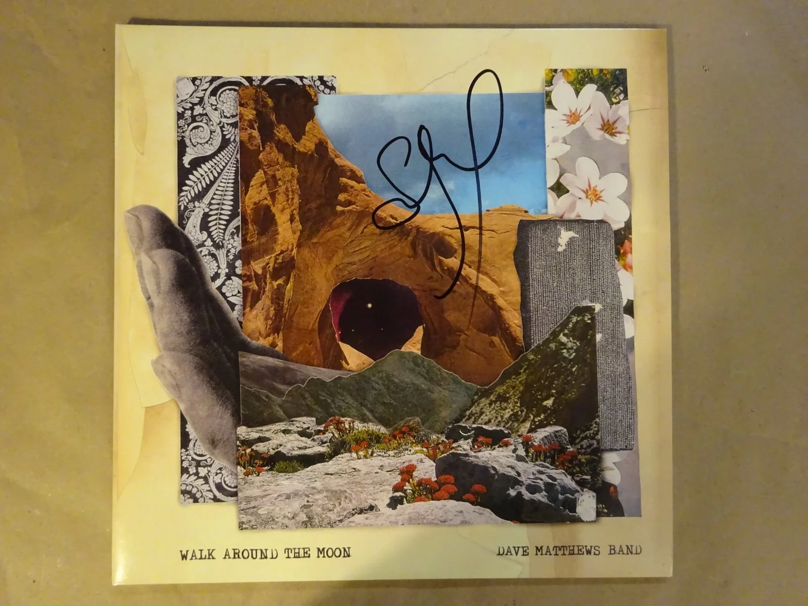 Signed Stefan Lessard Autographed Dave Matthews Band Album BAS COA, image 2