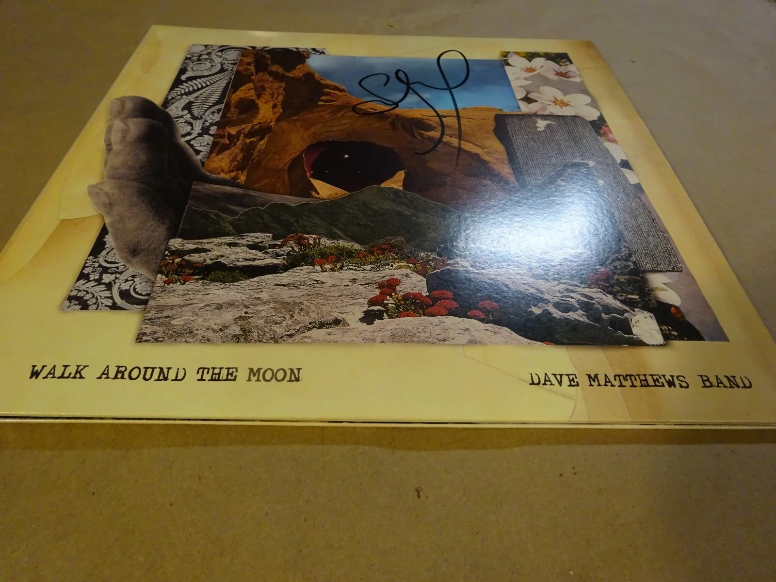 Signed Stefan Lessard Autographed Dave Matthews Band Album BAS COA, image 3
