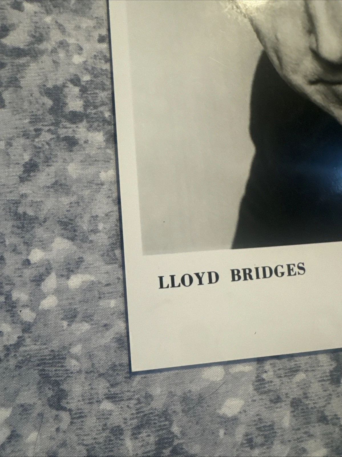 8 X 10 Autographed Photo Lloyd Bridges Vintage Movie Studio Agency Shot, изображение 4