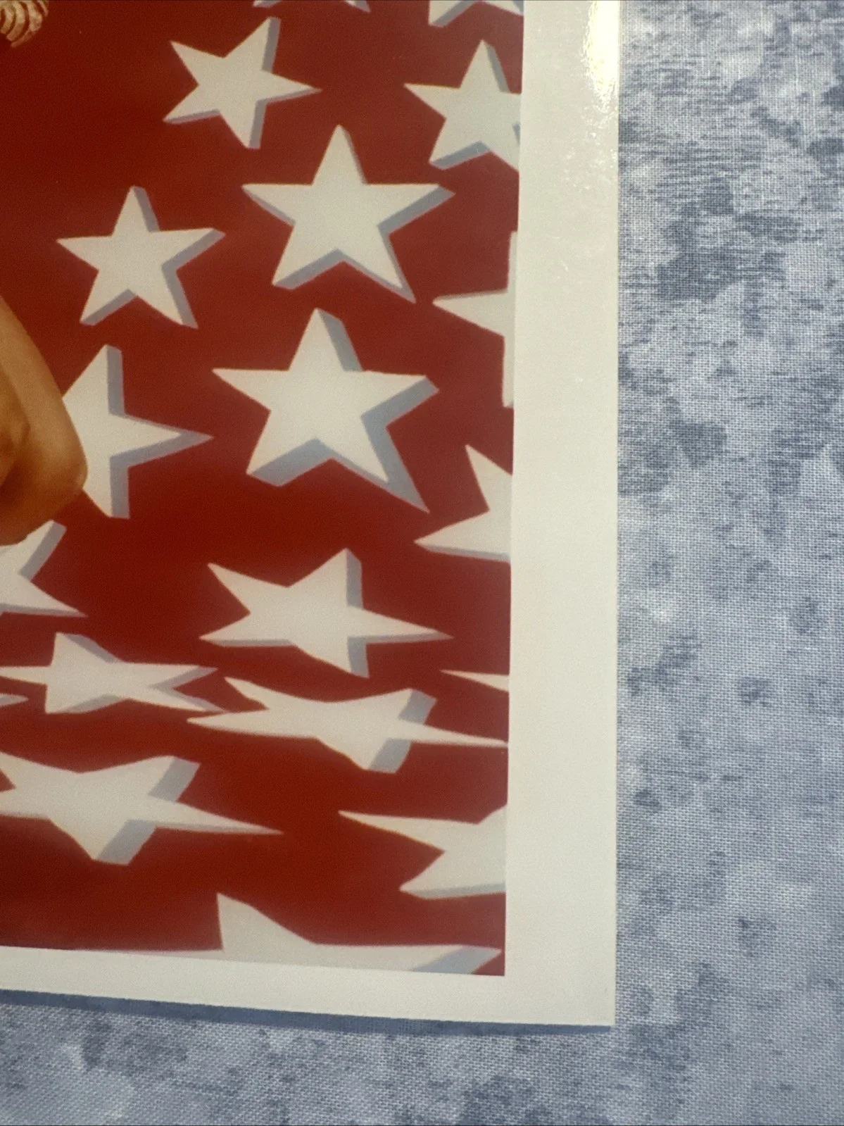 8 X 10 Autographed Photo Lynda Carter Wonder Woman Studio Photograph, image 4