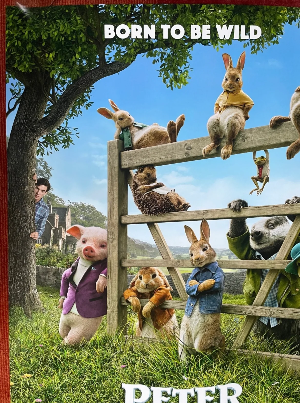 PETER RABBIT (2018) Original UK One Sheet Movie Film Poster, изображение 2